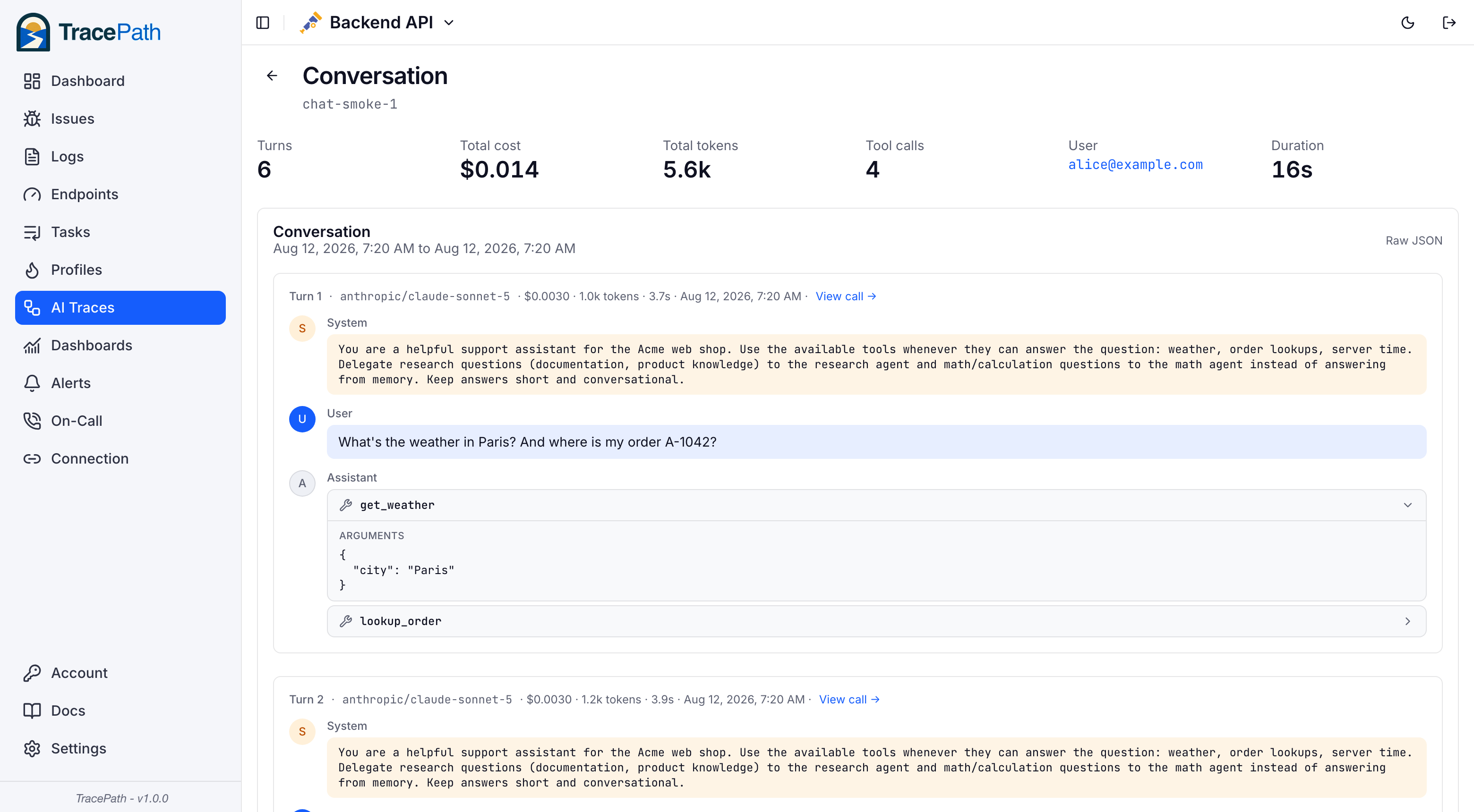Conversation detail with the chat timeline and expanded tool call