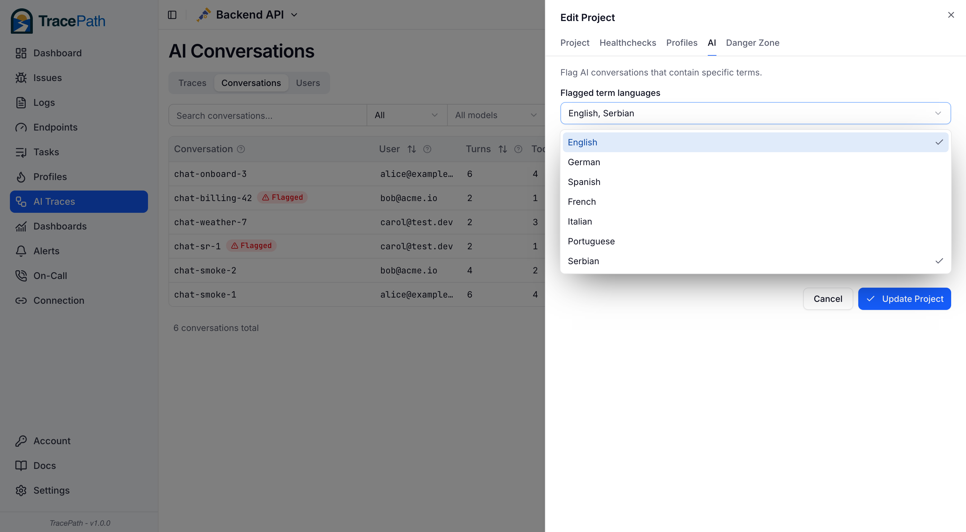Flagged term language packs and custom terms in the project AI settings